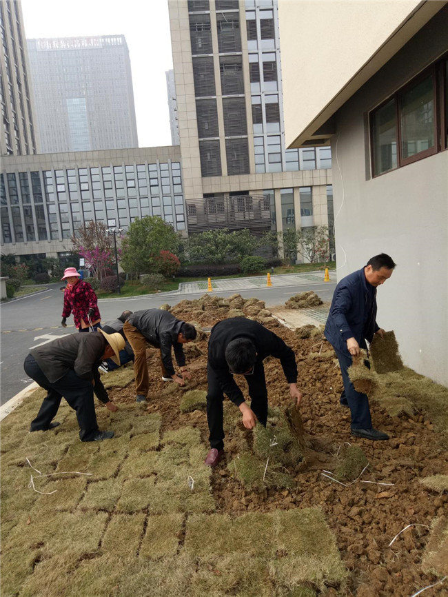 欧博abg - 官方网站登录入口