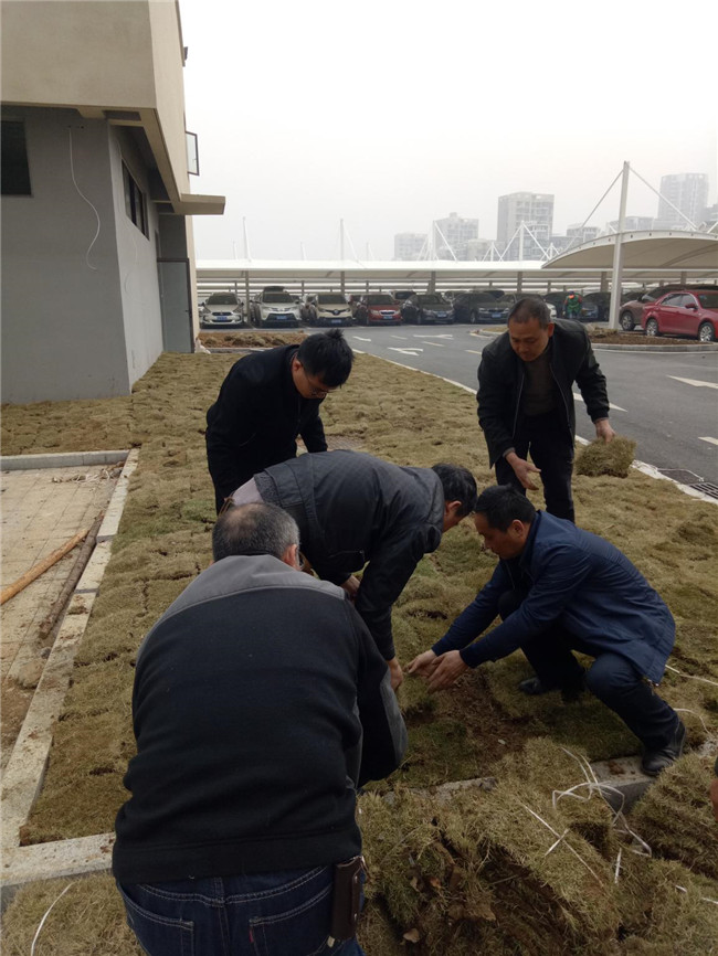 欧博abg - 官方网站登录入口