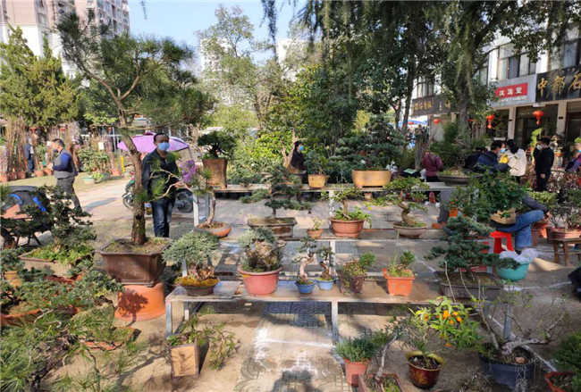 欧博abg - 官方网站登录入口