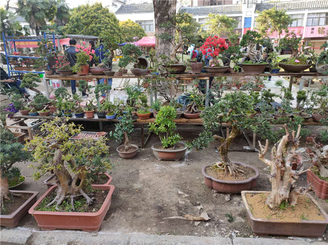 欧博abg - 官方网站登录入口