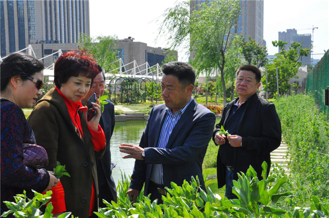 欧博abg - 官方网站登录入口