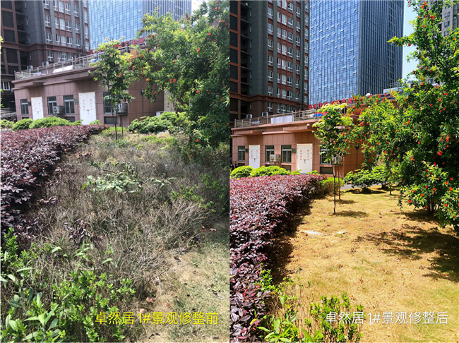 欧博abg - 官方网站登录入口