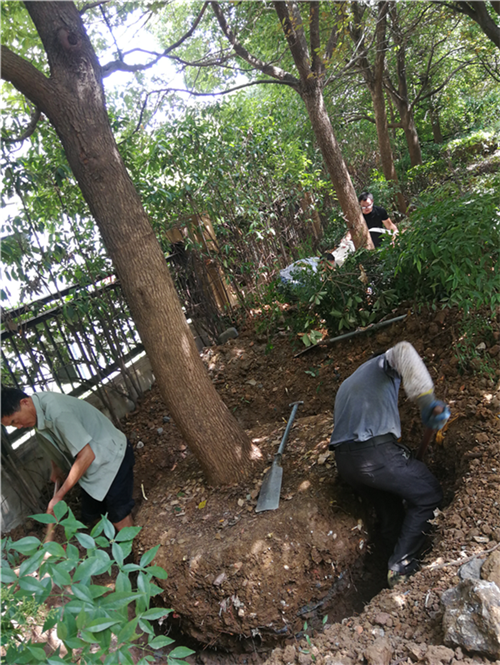 欧博abg - 官方网站登录入口