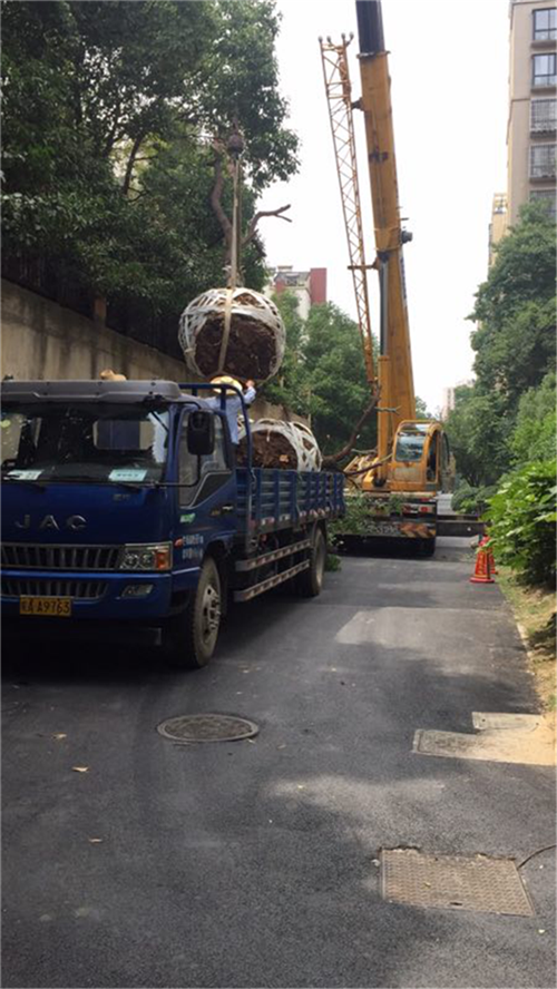 欧博abg - 官方网站登录入口