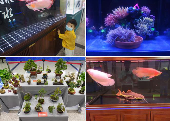 欧博abg - 官方网站登录入口