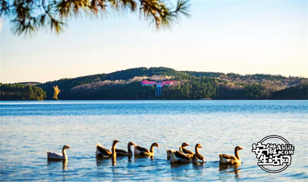 欧博abg - 官方网站登录入口