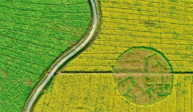 欧博abg - 官方网站登录入口