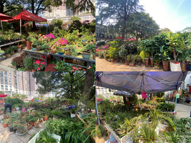 欧博abg - 官方网站登录入口