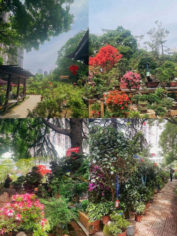 欧博abg - 官方网站登录入口