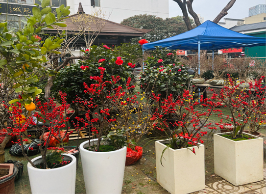 欧博abg - 官方网站登录入口