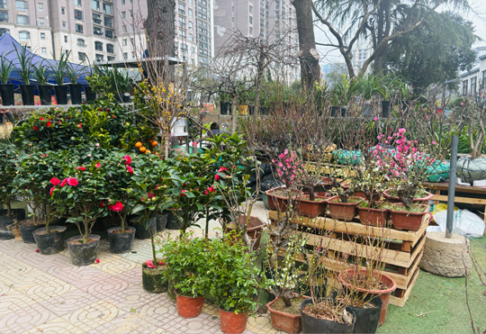 欧博abg - 官方网站登录入口