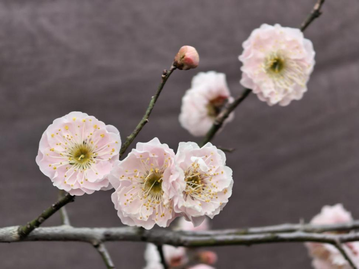 欧博abg - 官方网站登录入口